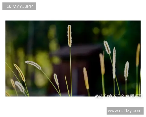 当年绿茵巨星老年模样曝光岁月沉淀下的从容与魅力